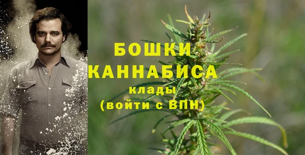крисы Балабаново
