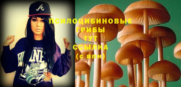 крисы Балабаново
